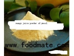 sell High Quality Natural Spray Dried Passion Fruit Juice Powder