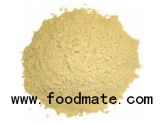 sell SD Cili Fruit Juice Powder Juice Powder