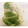 Cauliflower