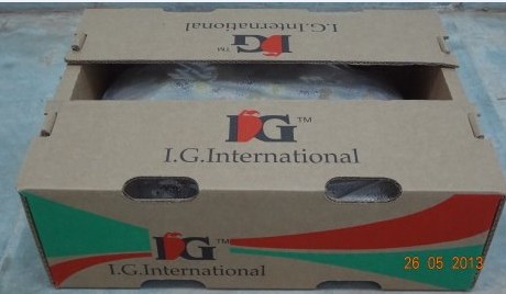IG International 