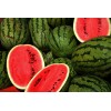 Sell Varieties of watermelon
