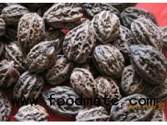 wild walnut(northeast China)