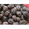 wild walnut(northeast China)