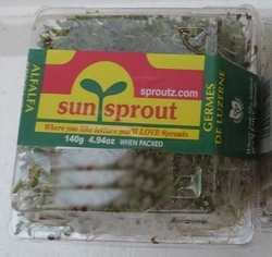 alfalfa sprouts