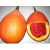 gac fruit extract