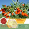 Goji Extract