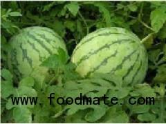 sell 10% natural Watermelon Juice Powder