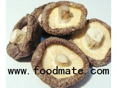 Dried Shiitake Mushroom