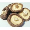 Dried Shiitake Mushroom