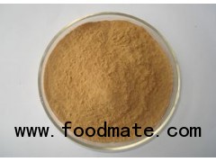 sell StarFruit Juice Powder