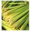 Lemongrass oil