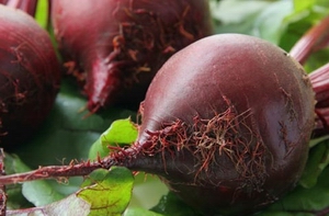 beets