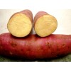 sweet potato