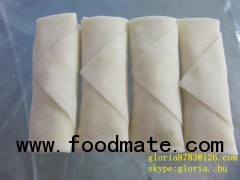 frozen spring roll