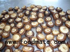 Quick Frozen shiitake mushroom(IQF)