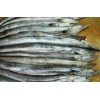 FROZEN BLACK CONGER EEL FISH