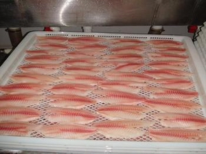 frozen tilapia fillets