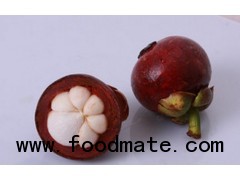 Mangosteen Powder Extract