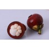 Mangosteen Powder Extract