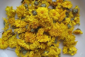 chrysanthemum tea