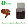 ganoderma lucidum/reishi/lingzhi extract