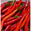 Dry Hot Peppers & Chili