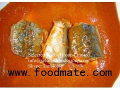 Canned Mackerel