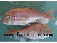 Frozen Red Snapper