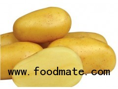 Yellow Potato