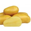 Yellow Potato