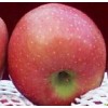 Red Star Apple