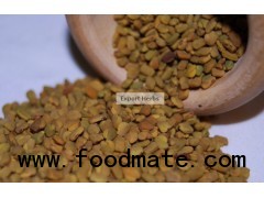 Fenugreek Seed