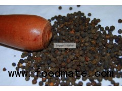 Black Pepper Corn Seed