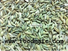 Fennel Seeds