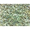 Fennel Seeds