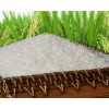 Vietnam long grain white rice