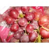 red globe grapes