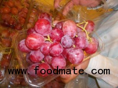 red globe grapes