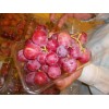 red globe grapes
