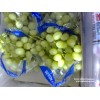 Early Sweet Seedless Grapes