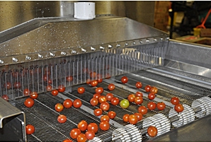 food safety disinfection