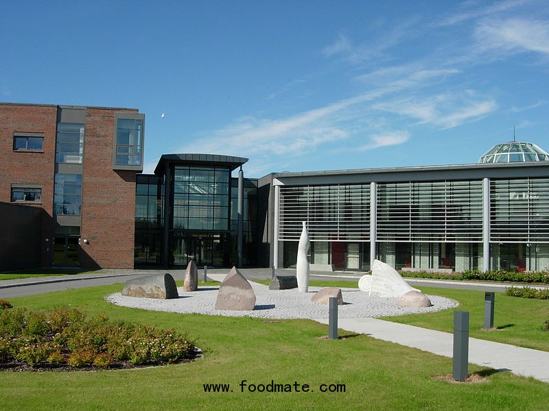 Bodø University College