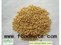 Textured Soy Protein (TSP)