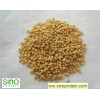 Textured Soy Protein (TSP)