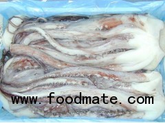 Giant Squid Tentacles