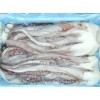 Giant Squid Tentacles