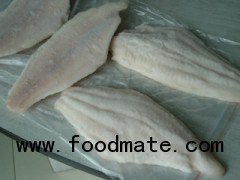channel catfish fillet