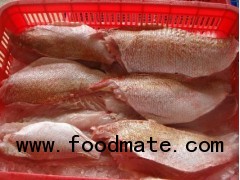 Frozen red snapper