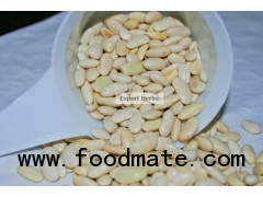White Bean Seeds