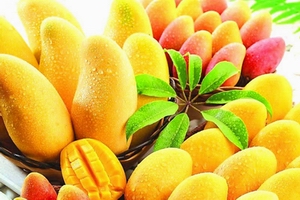 mango